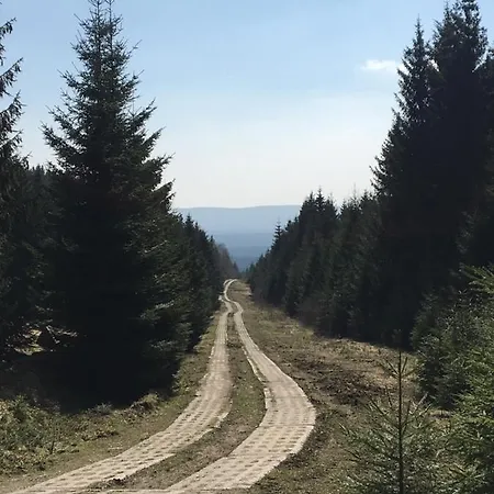 Kleine Harzflucht *