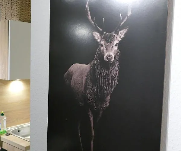 Kleine Harzflucht Altenau (Lower-Saxony)