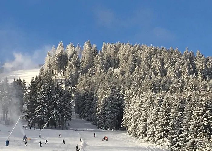 Kleine Harzflucht Daire