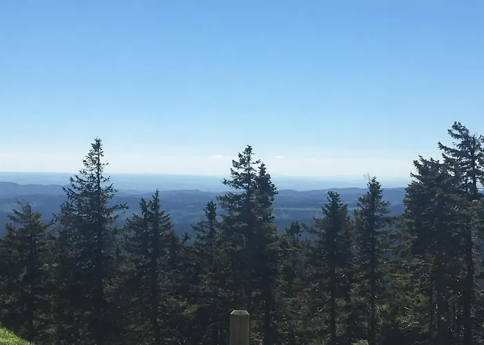 Daire Kleine Harzflucht